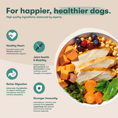 Front label of Jinx senior dry dog food emphasizing USA chicken origin.