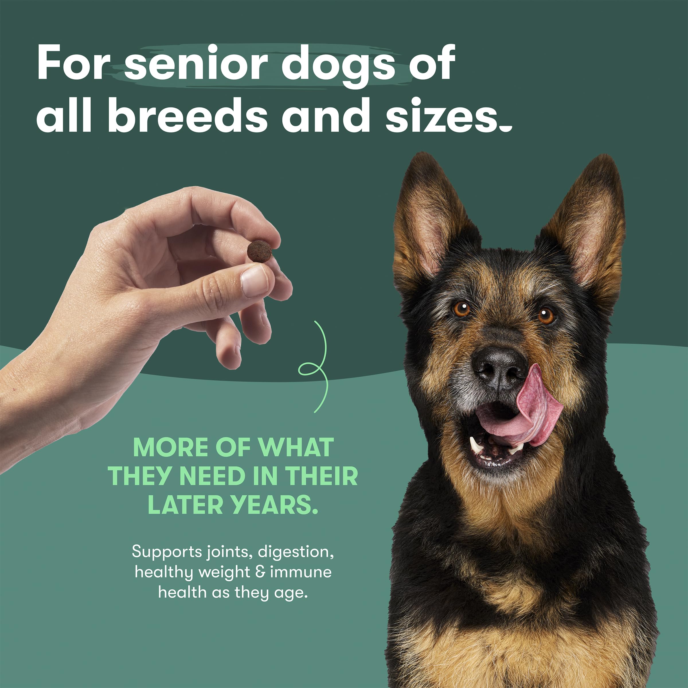 USA chicken origin emphasis on Jinx premium dry dog food.