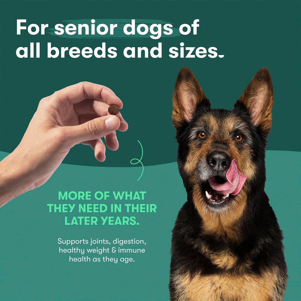 USA chicken origin emphasis on Jinx premium dry dog food.
