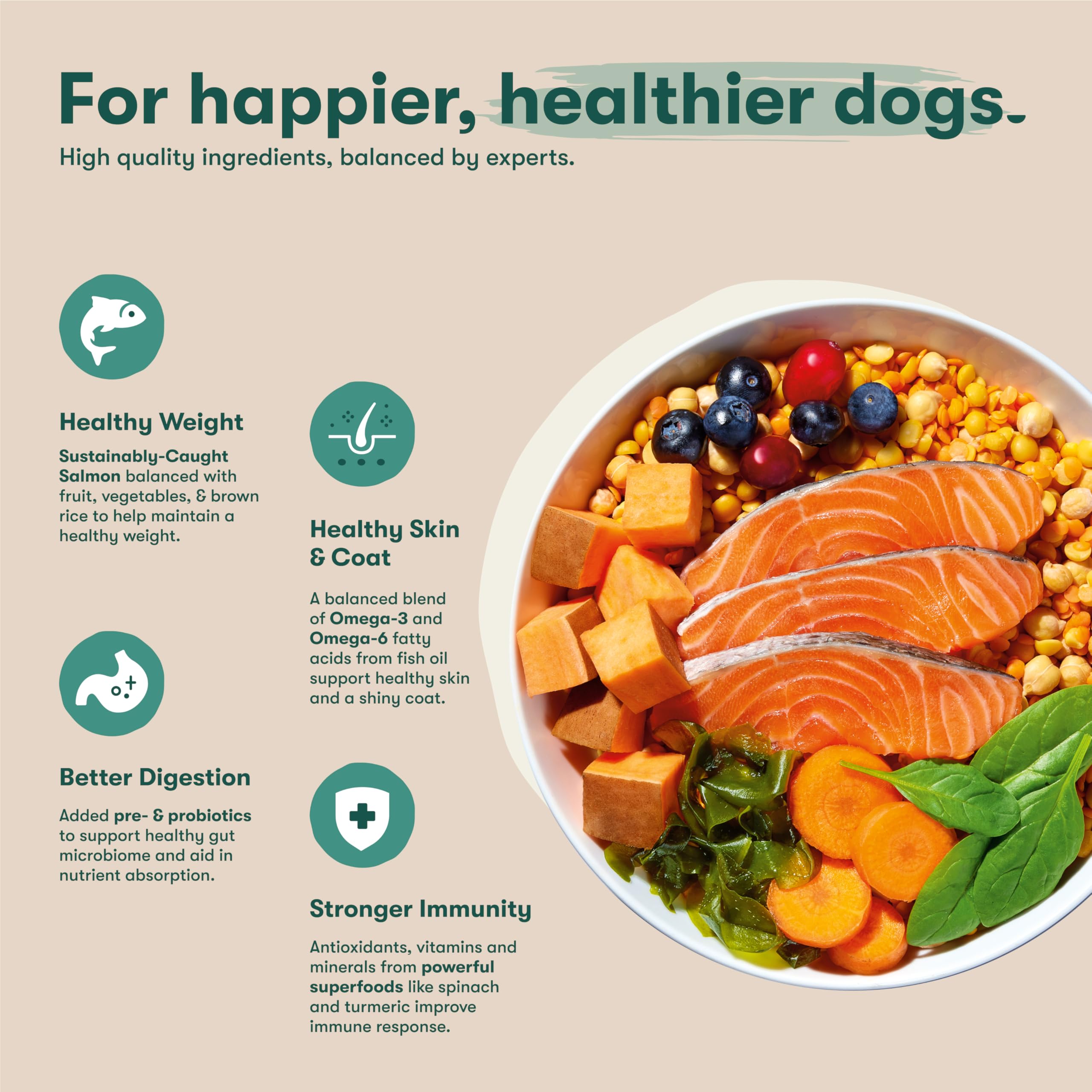 Jinx kibble carrot chunks support digestion and vitamin intake.
