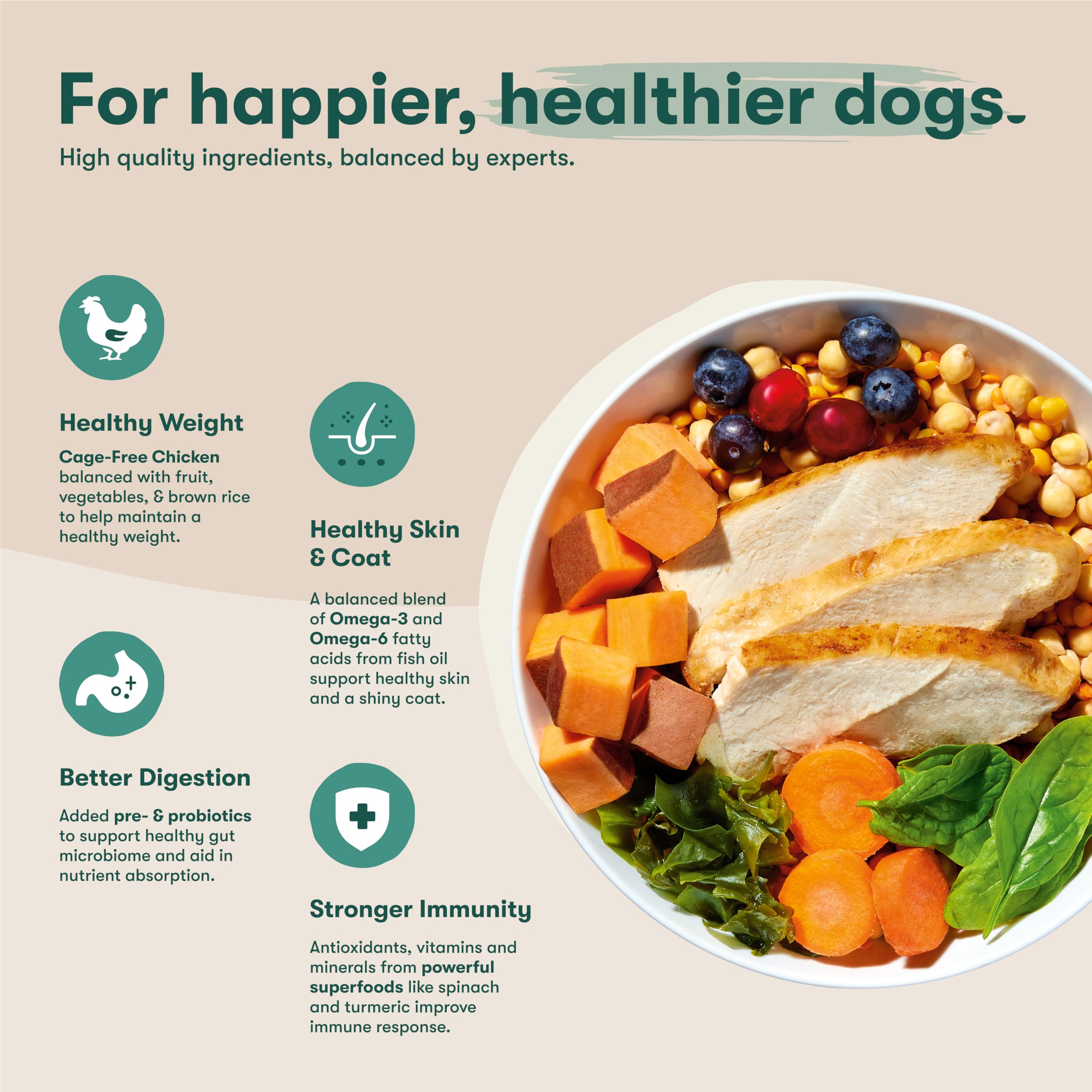 Jinx carrot kibble shot showcases coat-friendly nutrition and shine