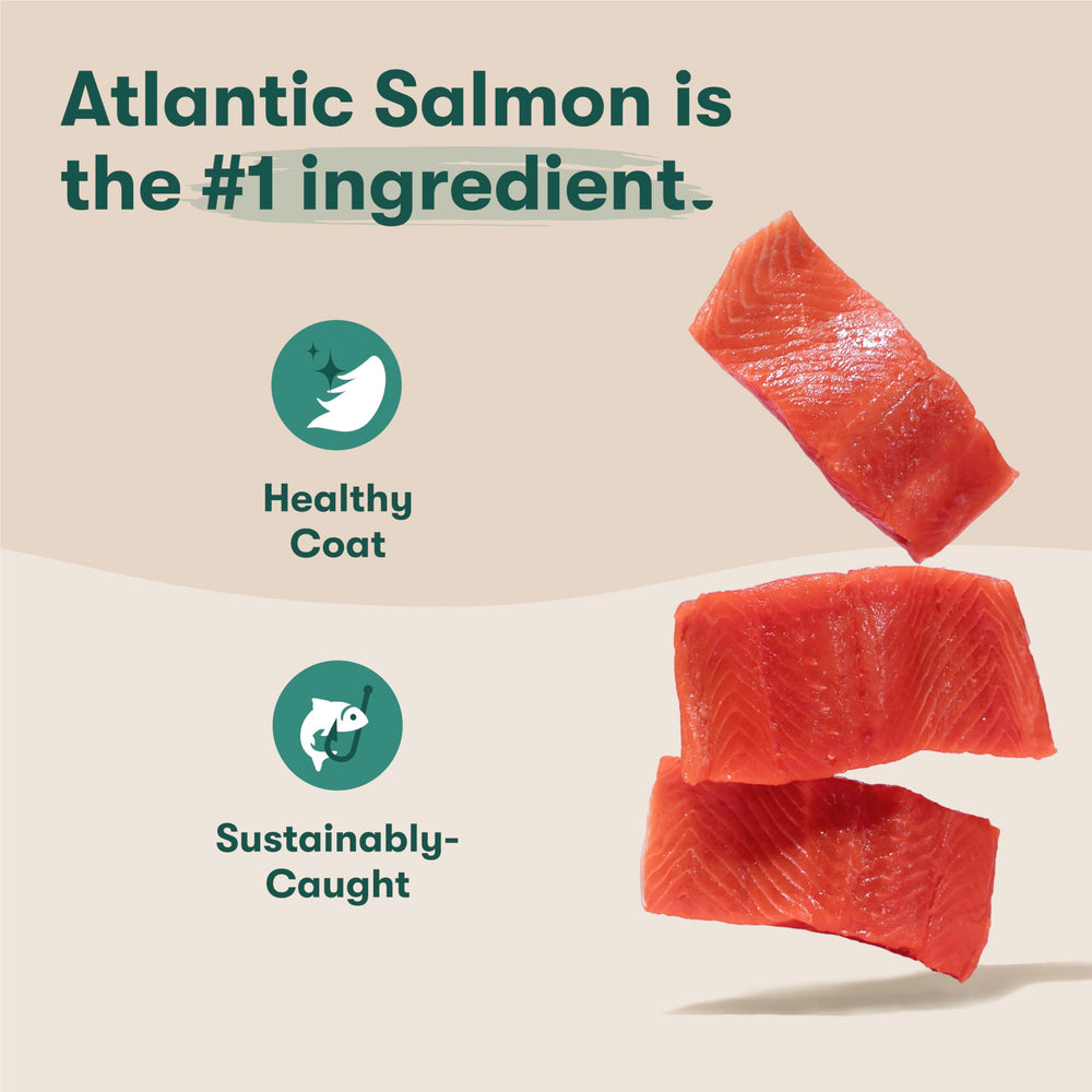 Jinx sweet potato pieces in kibble promote fiber and energy for daily activity.