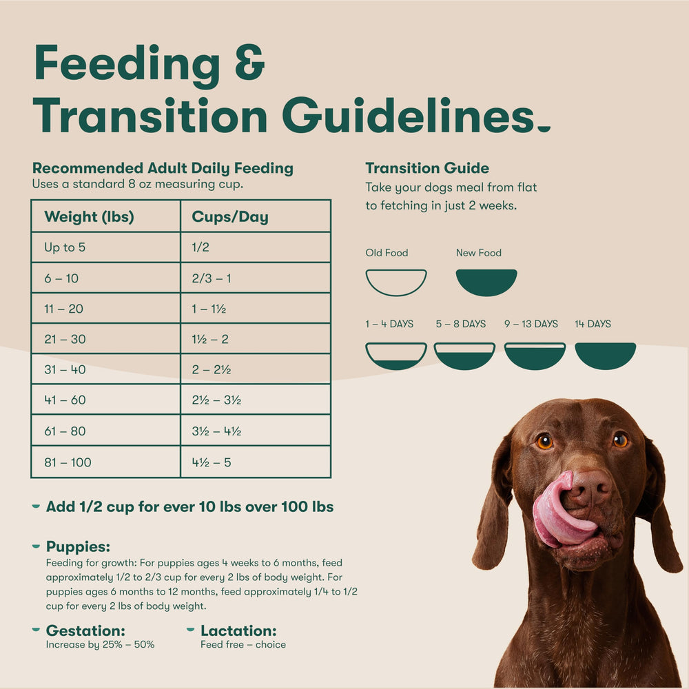 Jinx 30lb bag—grain-free nutrition for dogs at all life stages.