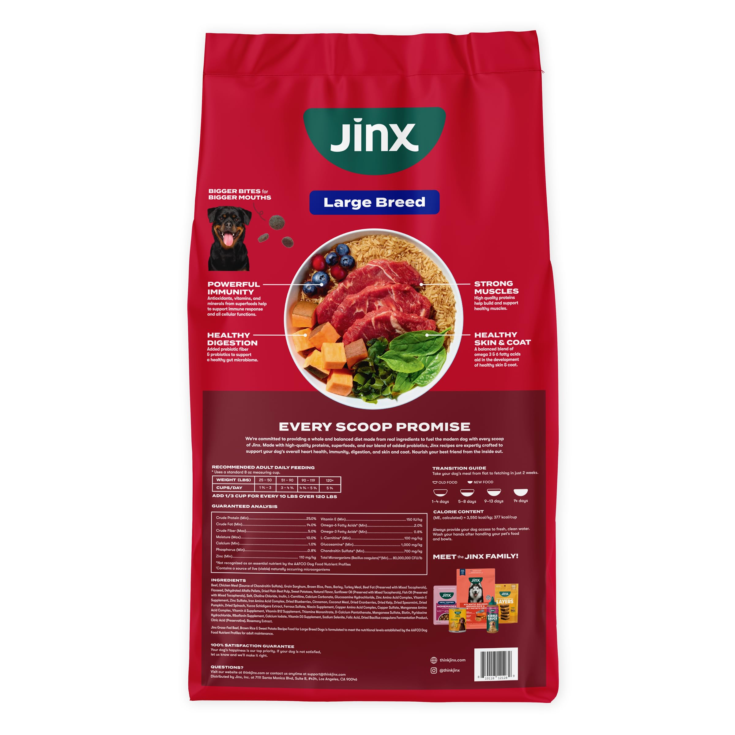 Feeding time scene with Jinx large-breed kibble