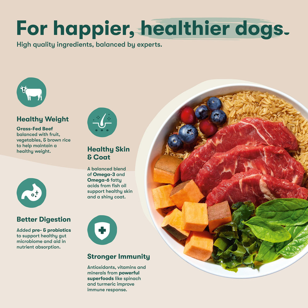 Glimpse of grass-fed beef and sweet potato ingredients in Jinx formula