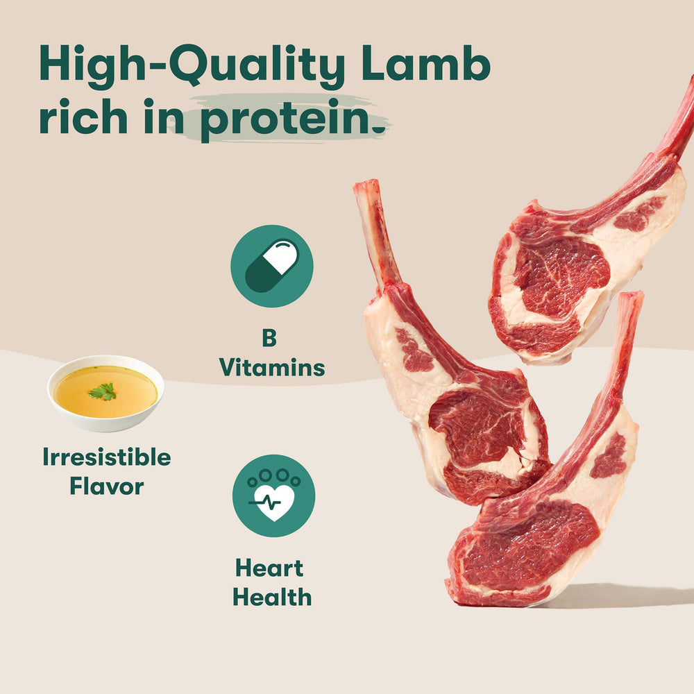 Jinx pouch with real lamb and duck pieces for protein-rich meals.