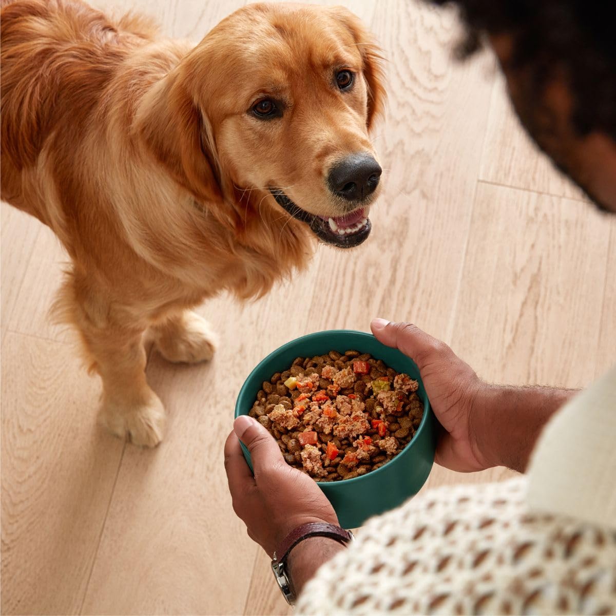 Jinx Salmon Wet Topper features real salmon and chicken for hearty flavor.