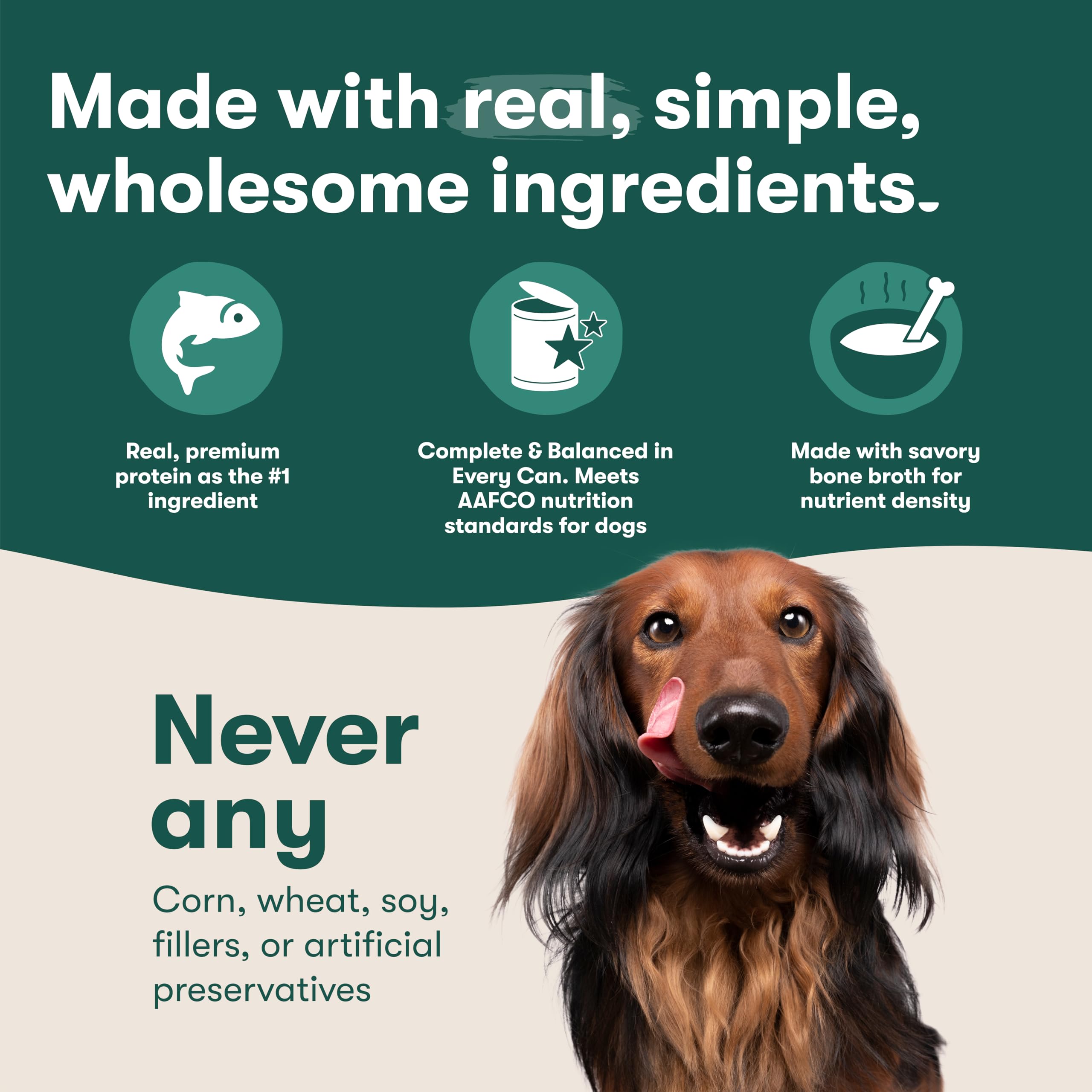 Jinx salmon-chicken stew ingredients close-up emphasizes grain-free, high-quality protein.