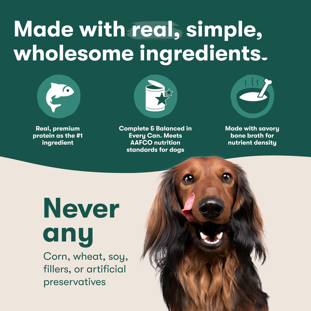 Jinx salmon-chicken stew ingredients close-up emphasizes grain-free, high-quality protein.