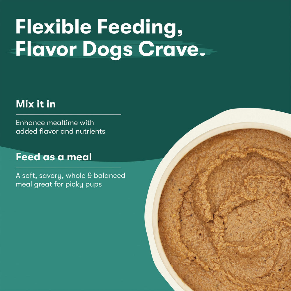 Jinx serving suggestions poured over kibble for added flavor.