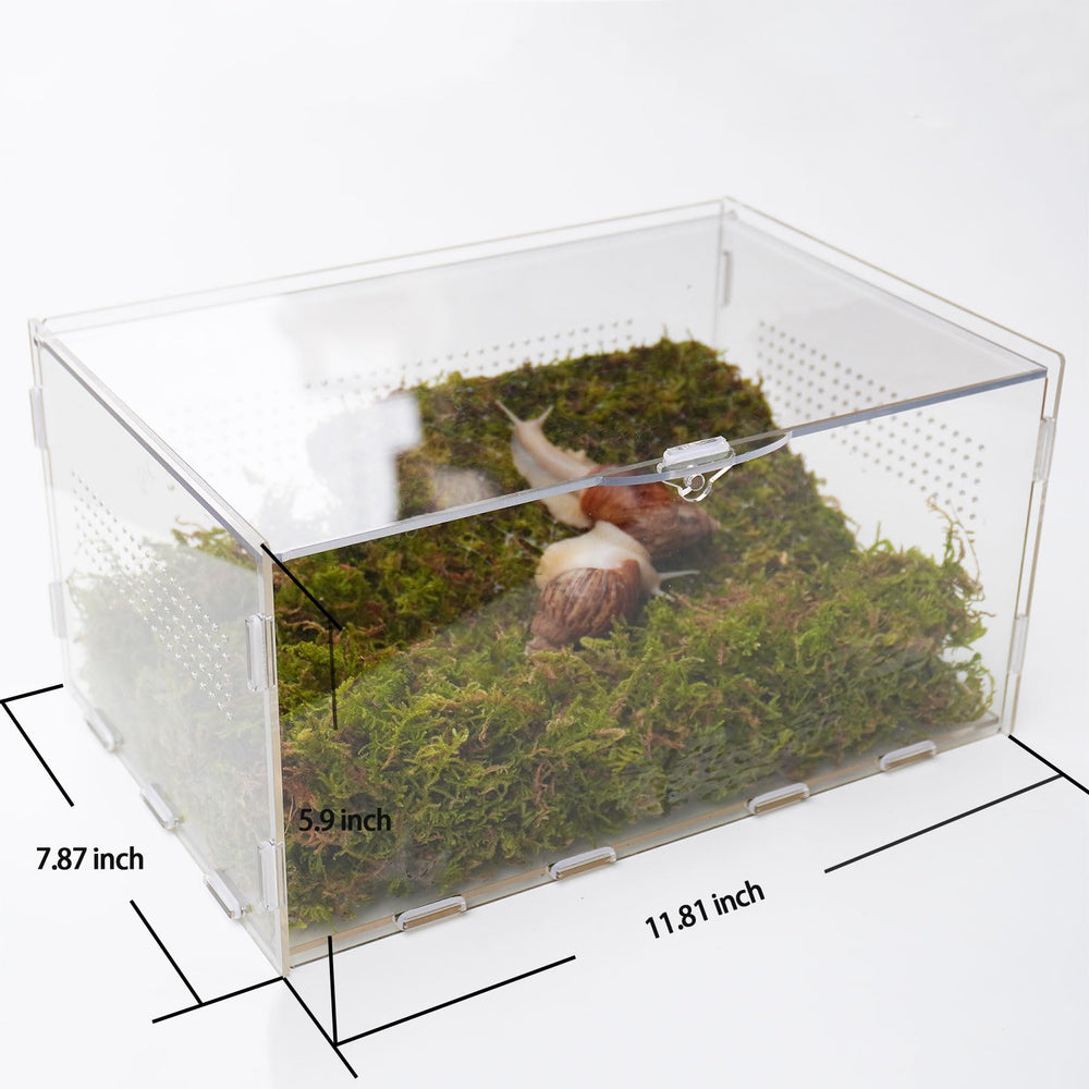Jinymral Snail Terrarium dimensions guide ensures proper size and placement.