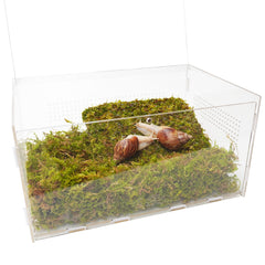 Jinymral Snail Terrarium substrate bag maintains humidity for comfortable habitats.