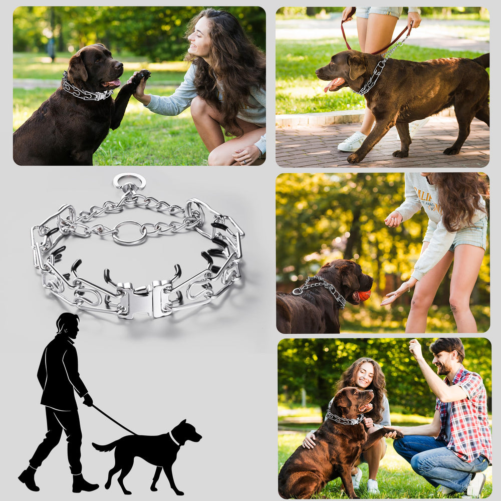 JIPIMON suitable for many breeds including pitbull, shepherd, beagle.