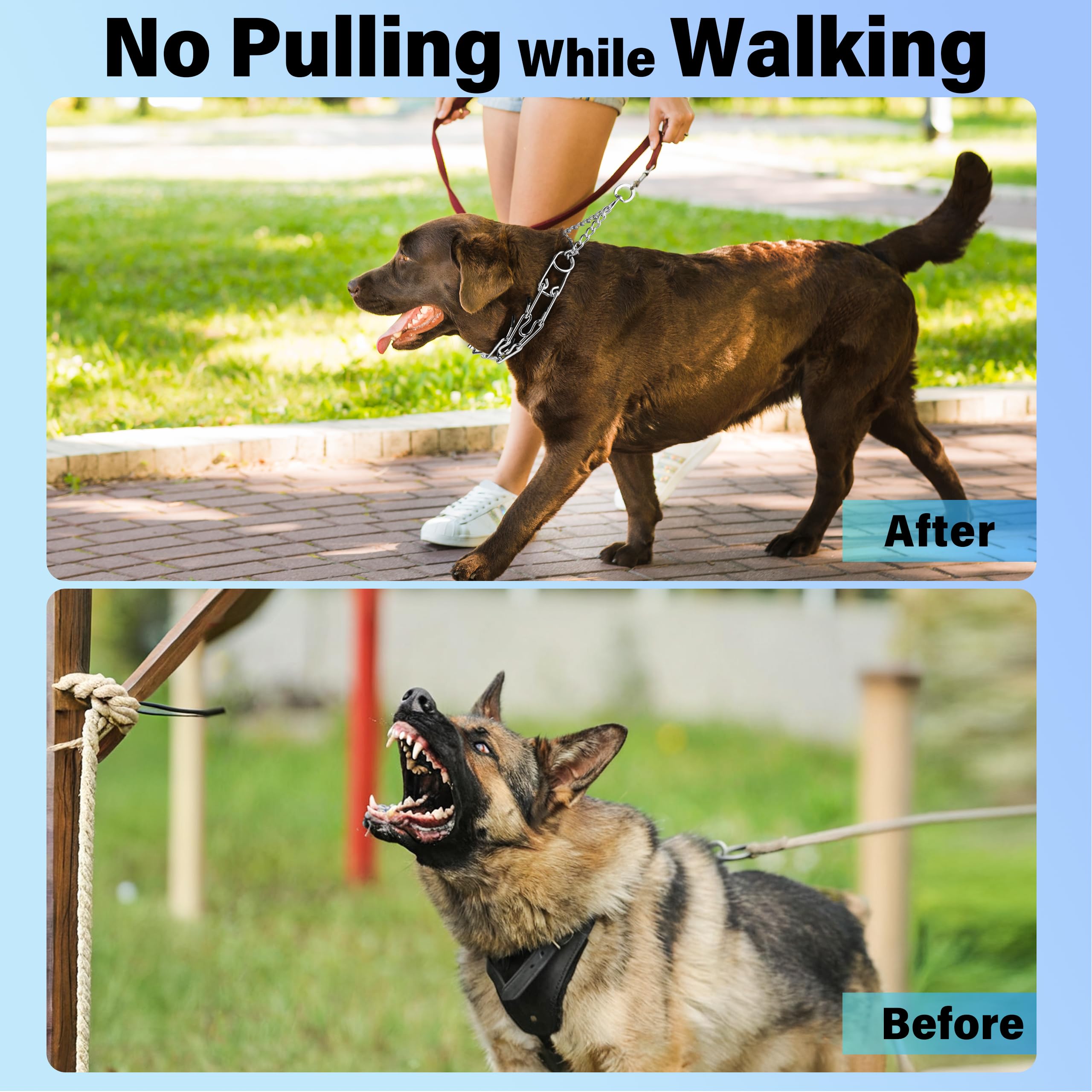 JIPIMON front-facing design supports humane guidance on busy walks.