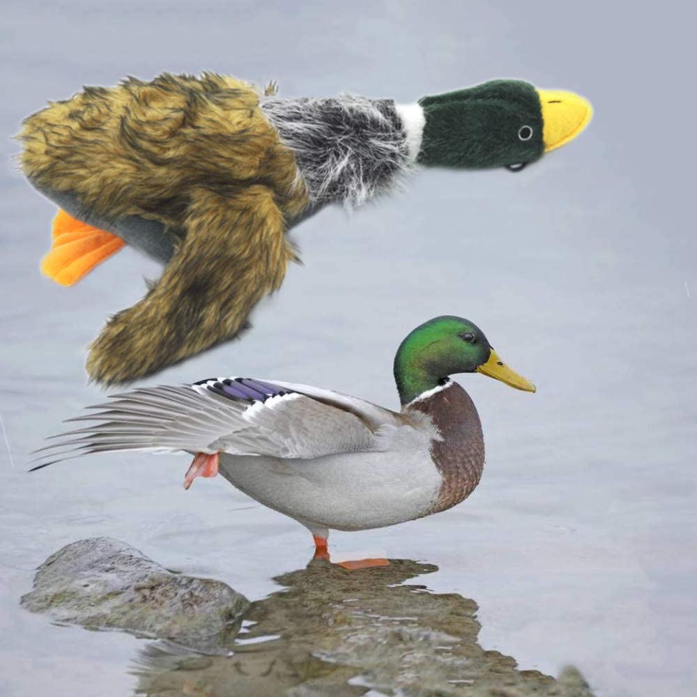JKW Mallard Duck Plush Toy in use during fetch boosts activity and bonding.