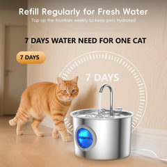 JLVDXN stainless steel body keeps water tasting fresh.
