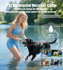 JLZNLC 4200ft range collar extends training reach outdoors.