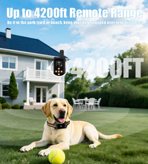 JLZNLC IPX7 waterproof dog collar ready for outdoor use.