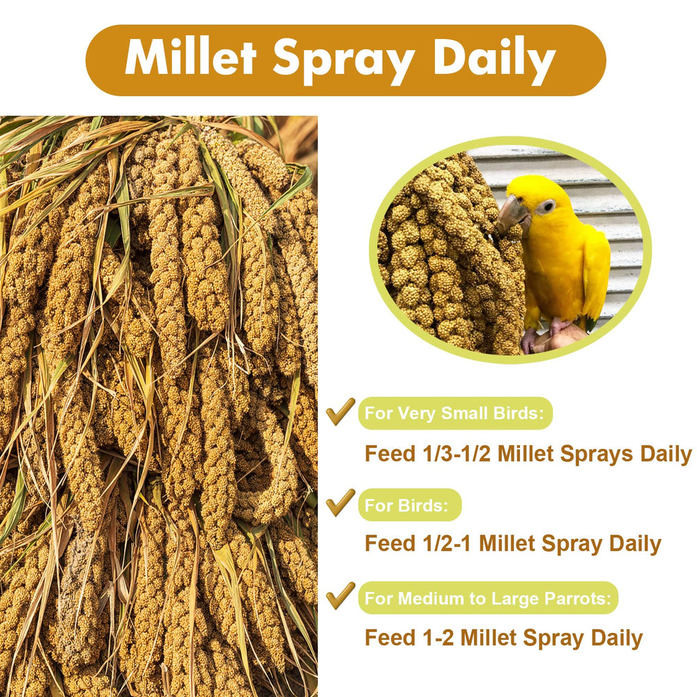 Jmxu's millet treat supports moderation and helps balance daily snacks.