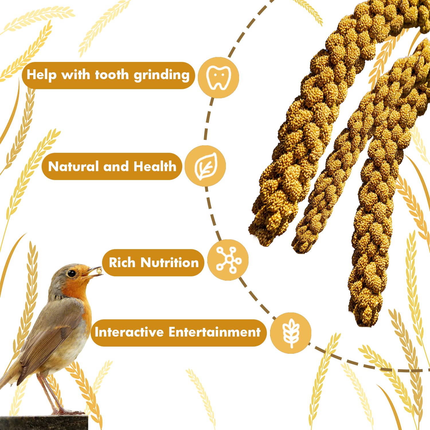 Jmxu's millet protein-rich seed offers a tasty, protein-forward treat for birds.