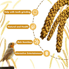 Jmxu's millet protein-rich seed offers a tasty, protein-forward treat for birds.