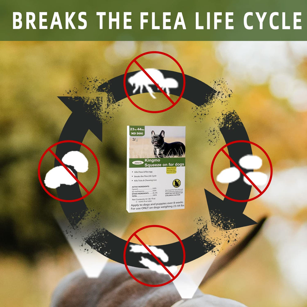 Jmxu's small dog pack for quick, affordable flea control