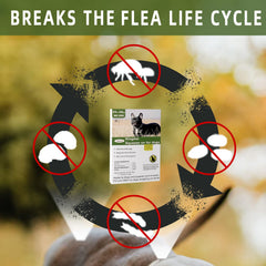 Jmxu's small dog pack for quick, affordable flea control