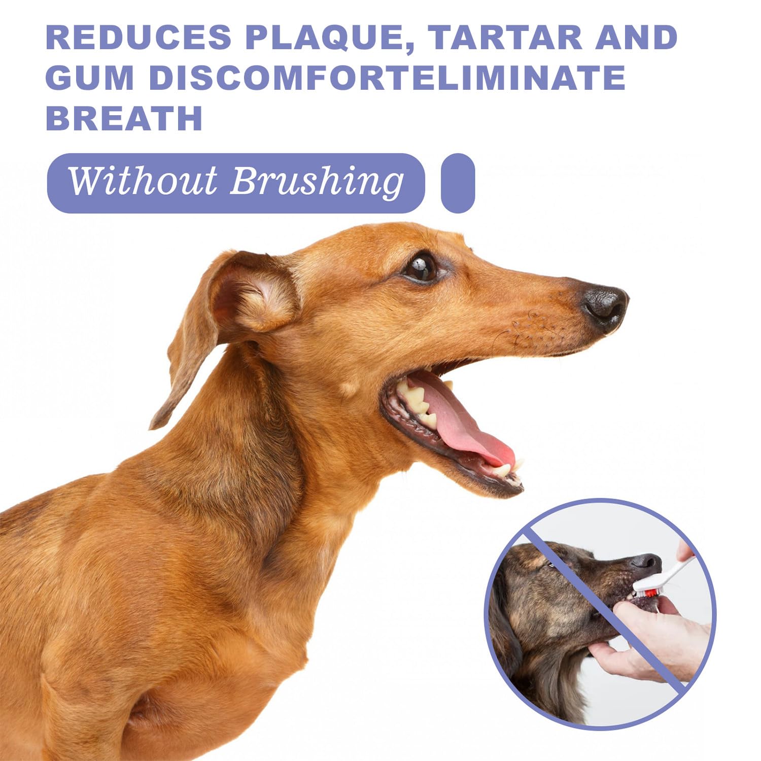 JoanofArc spray delivers fresh breath between brushings.