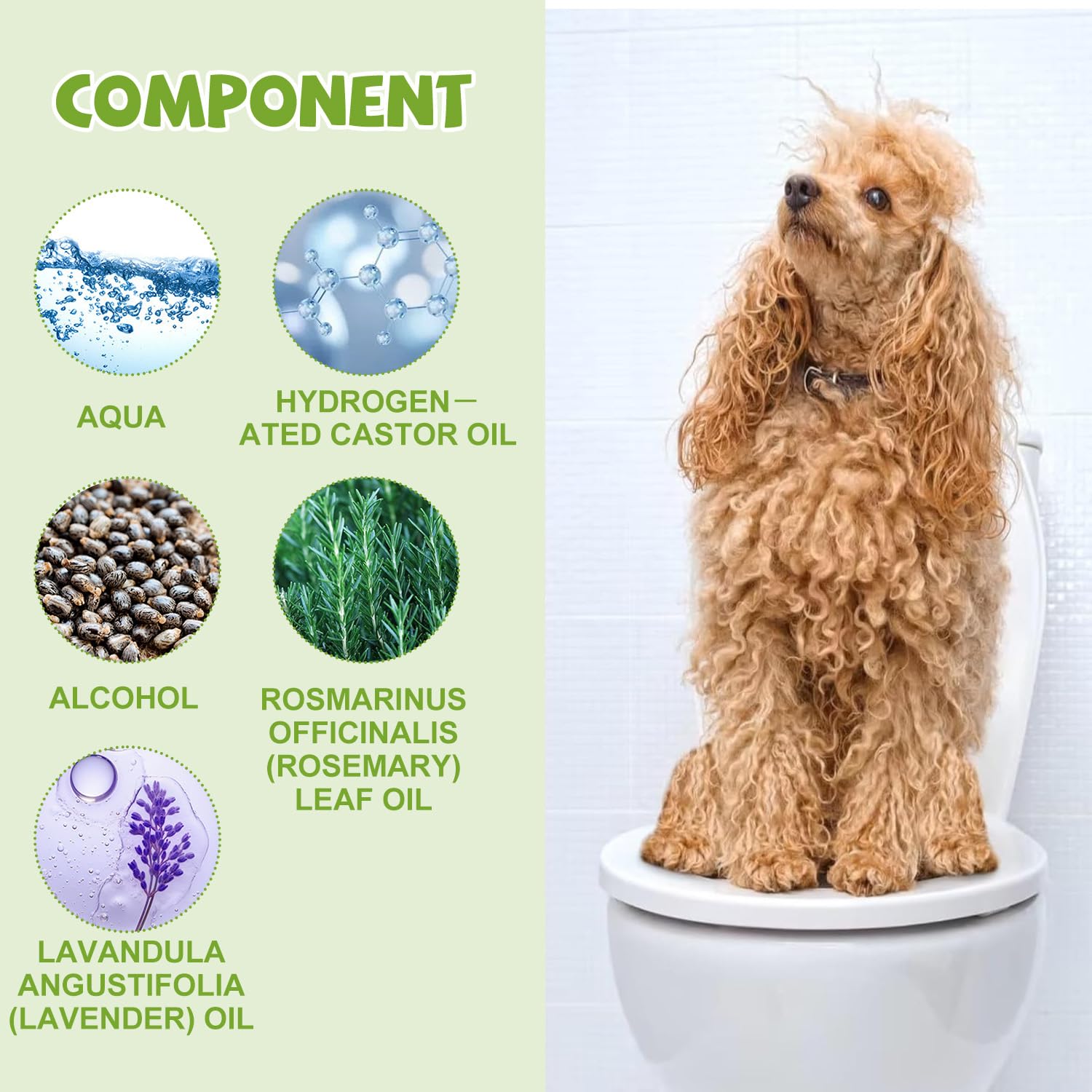 JoanofArc potty training spray supports puppies through routine practice