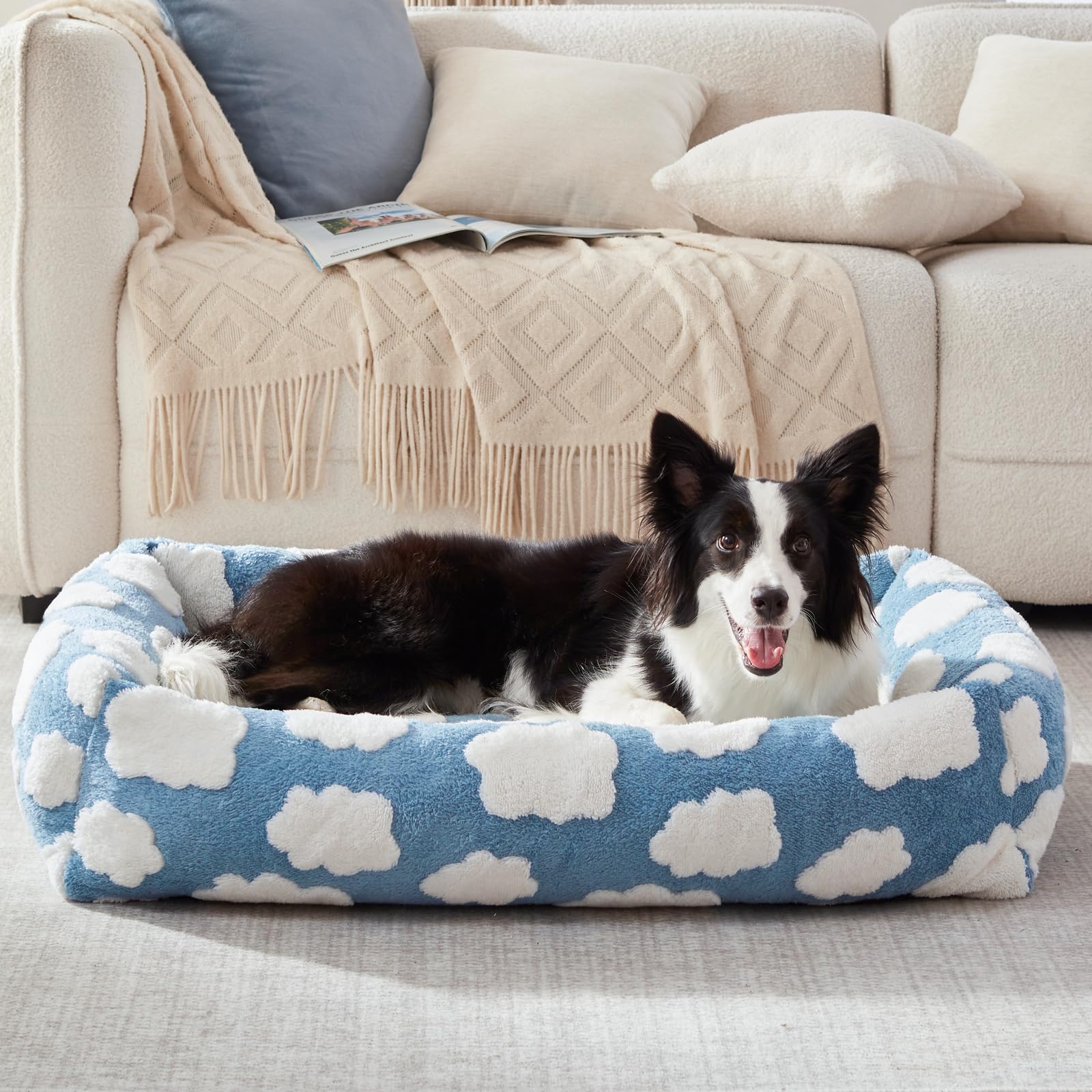 JOEJOY Blue color bed adds soft style to any room.