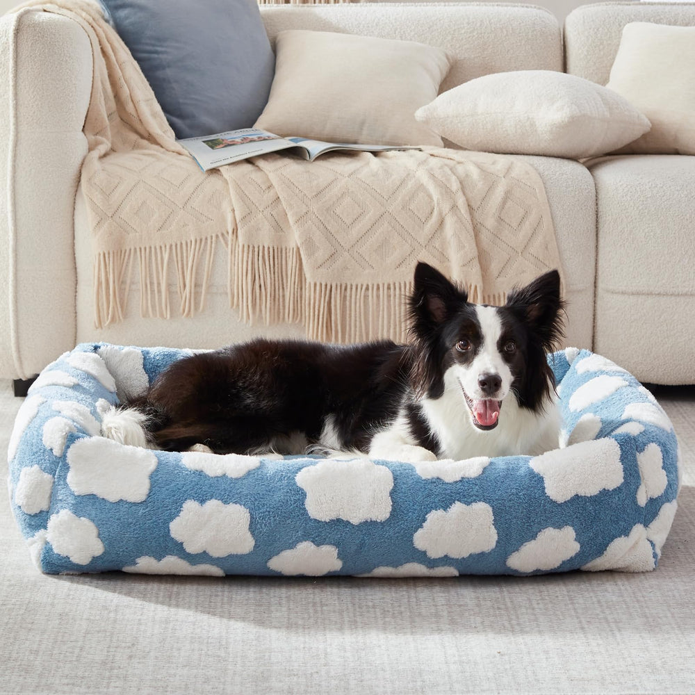 JOEJOY Blue color bed adds soft style to any room.