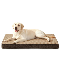 JOEJOY XL dog bed fits 41–42 inch crates for a secure, cozy crate setup.