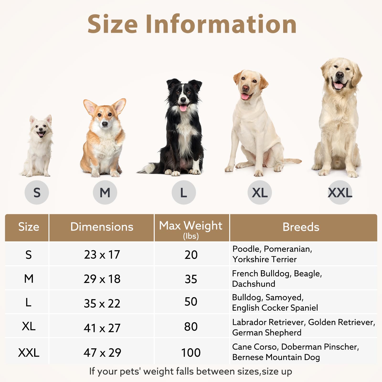 JOEJOY XL low profile design fits neatly in rooms or crates.