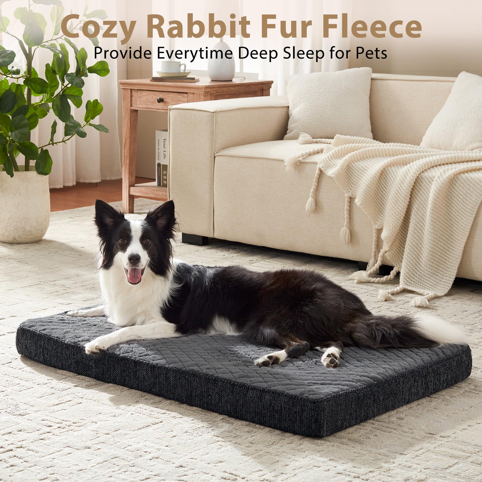 JOEJOY versatile setup for floor, sofa, or crate