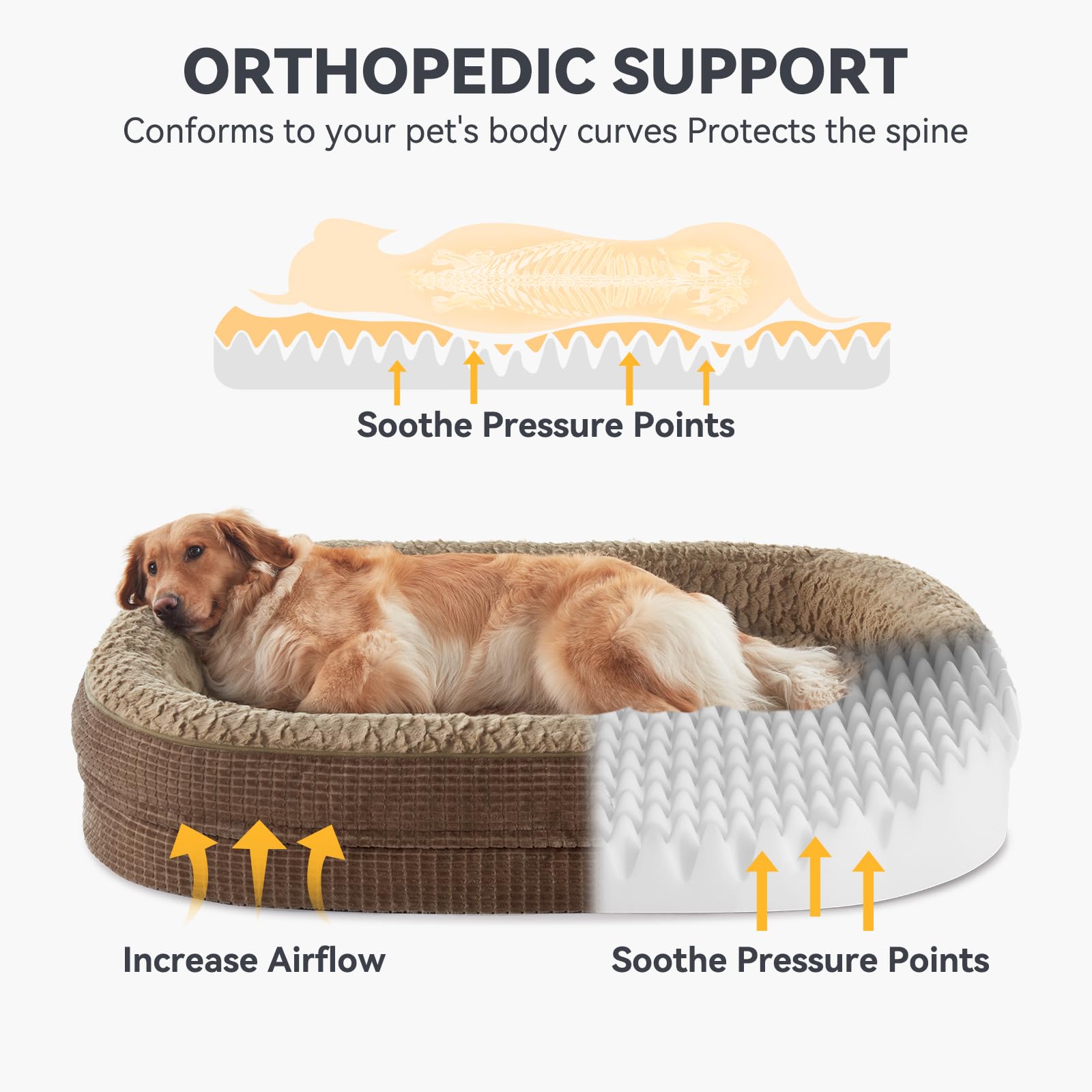 JOEJOY dog bed with 360° bolsters offers secure lounging and neck support