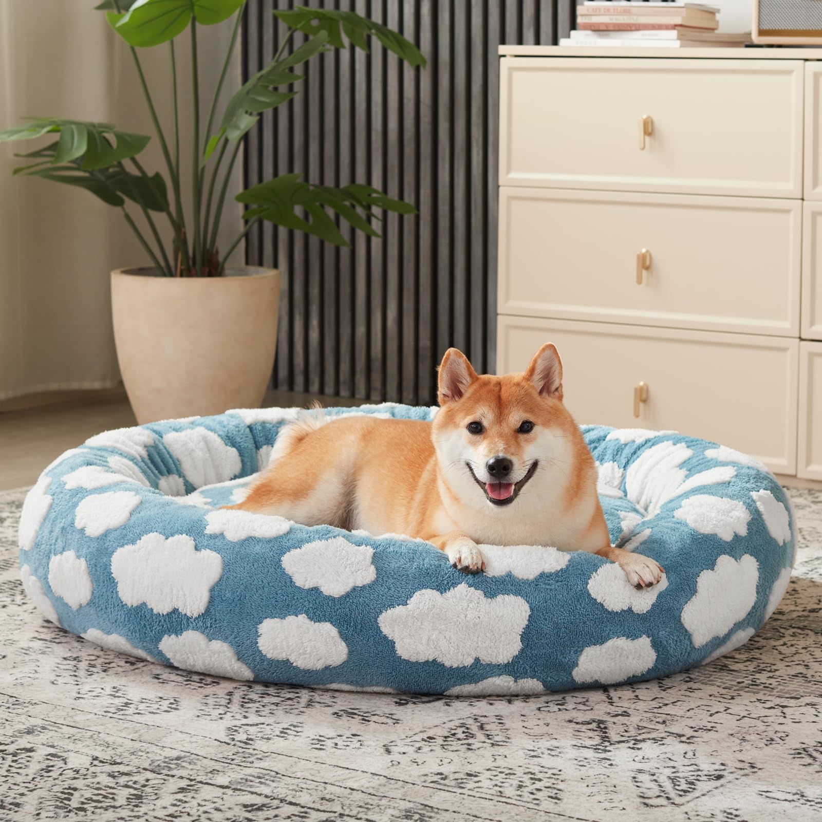 JOEJOY Donut bed cozy pet-scene suggests comfortable living room nap spots.