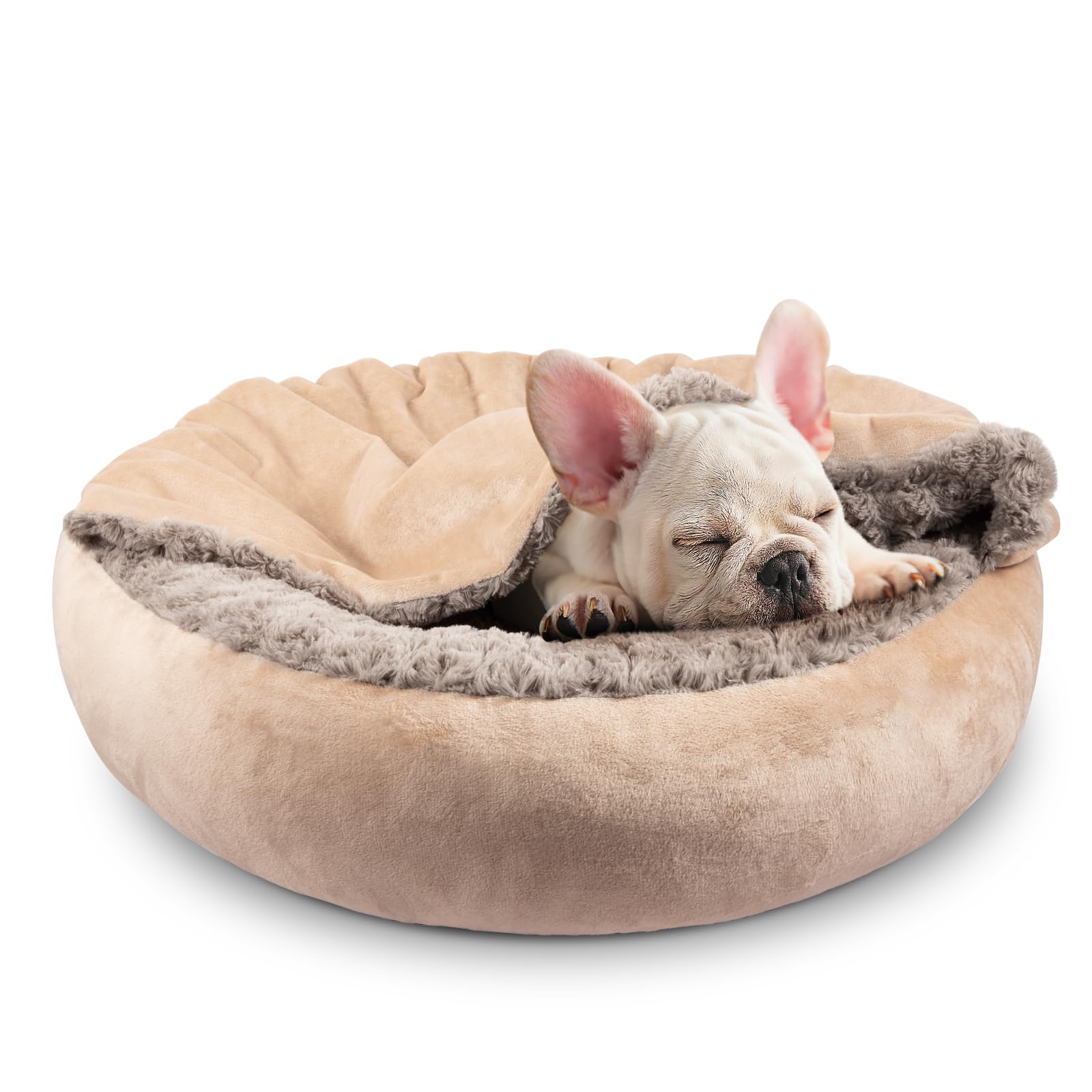 JOEJOY donut-round dog bed with attached blanket for cozy naps.
