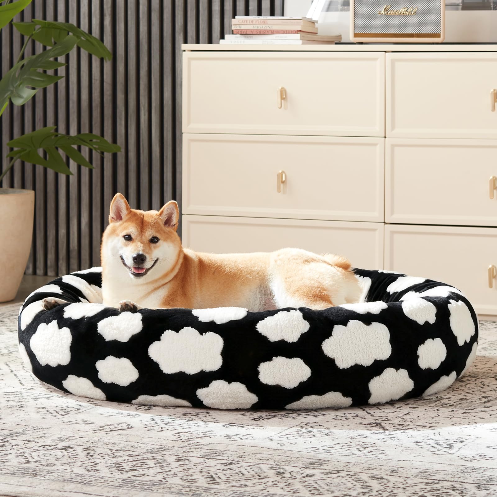 JOEJOY Four-size range XS to L fits dogs and cats.