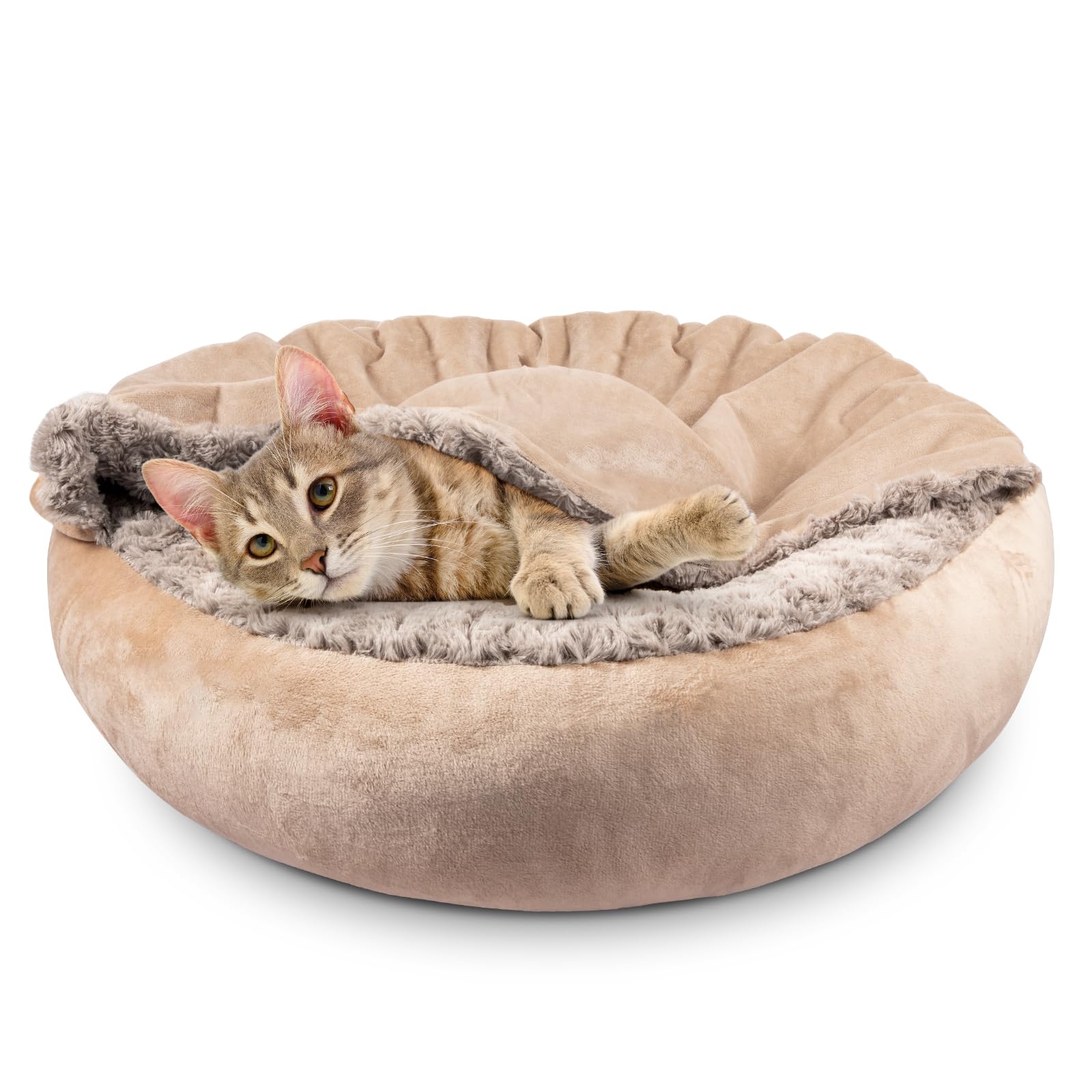 JOEJOY hooded cave bed full view offering cozy privacy for pets