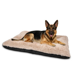 JOEJOY large dog bed crate pad beige, full view for spacious dogs.