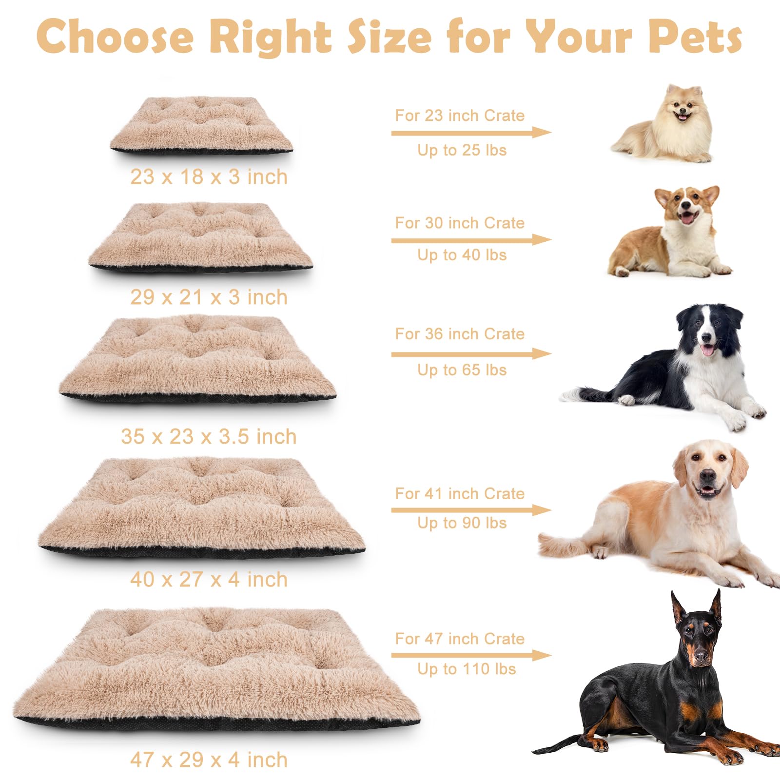 40x27 inch size fits medium to large dogs up to 90 pounds.