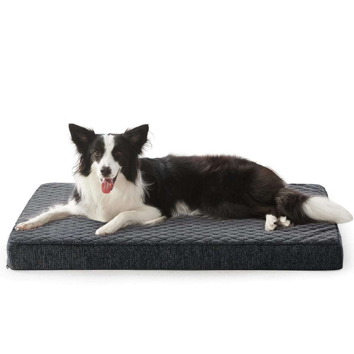 JOEJOY orthopedic dog bed large dogs with egg crate memory foam for support