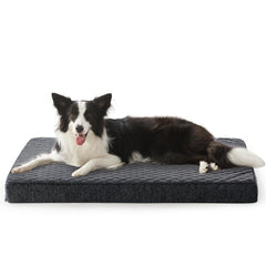 JOEJOY orthopedic dog bed large dogs with egg crate memory foam for support