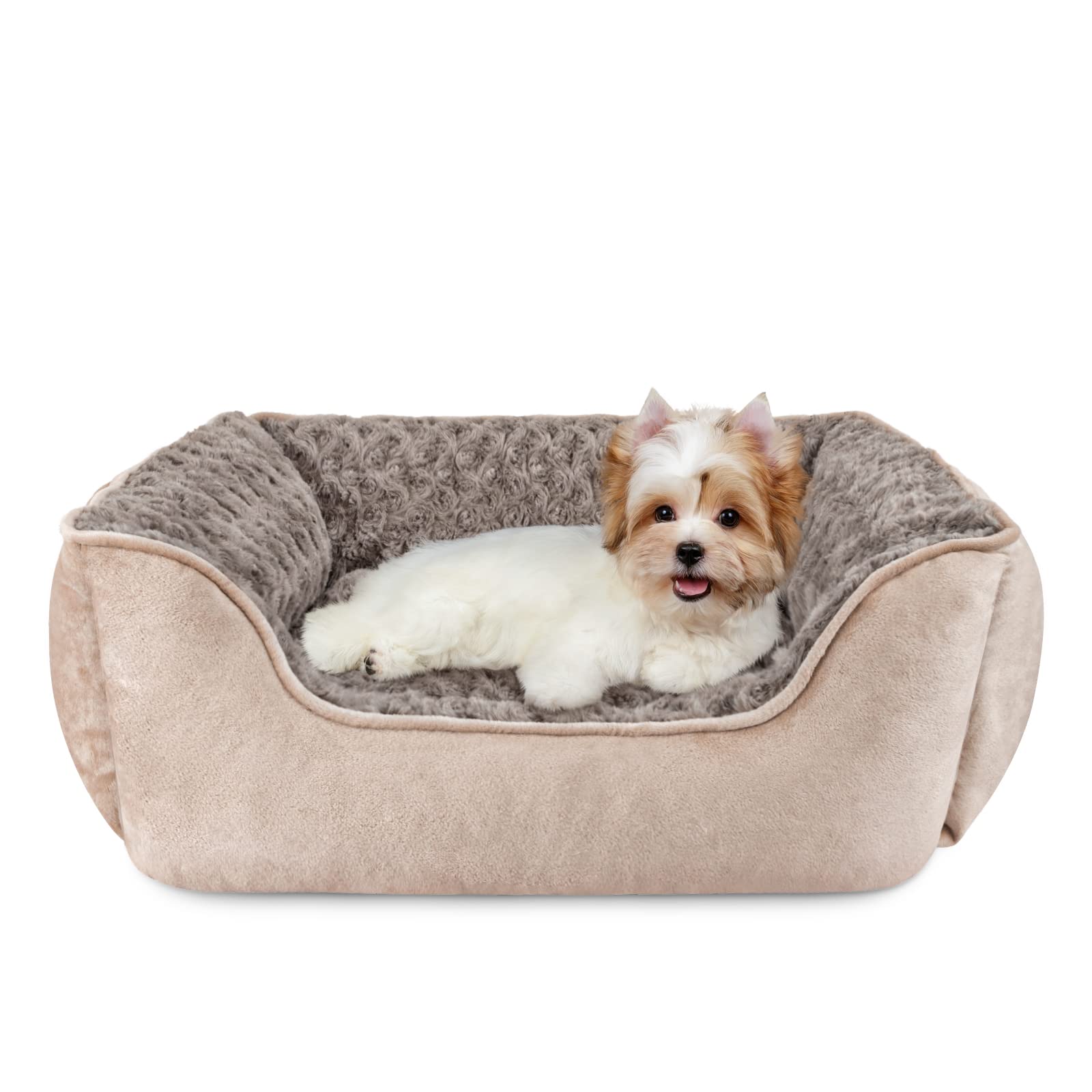 JOEJOY Rectangle Dog Bed beige: soft comfort for lounging and warmth