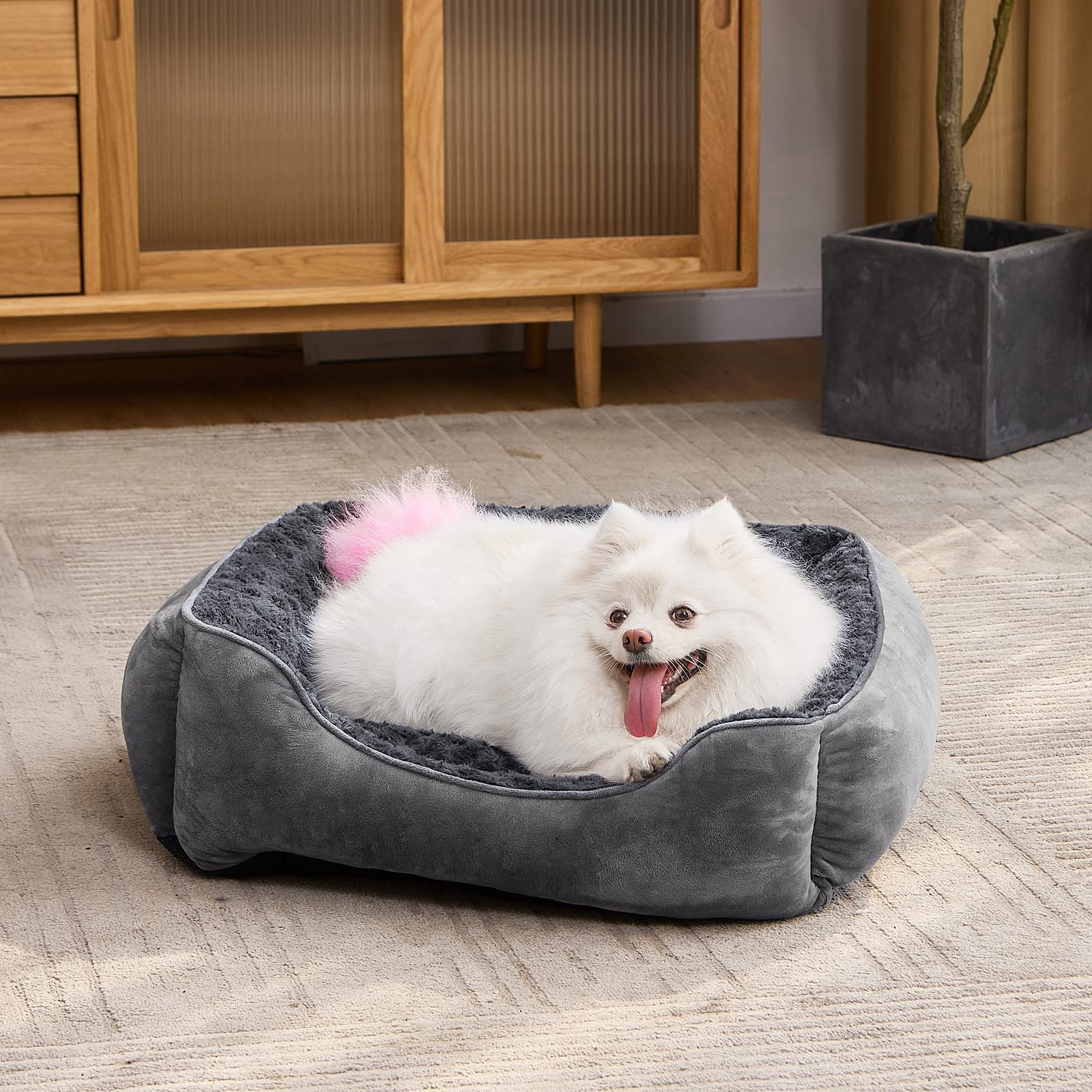 JOEJOY offers sizes for small, medium, and large dogs to fit spaces.