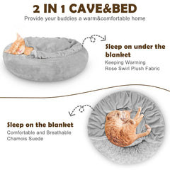 JOEJOY Two-size-options dog bed in S and M for small and medium dogs.