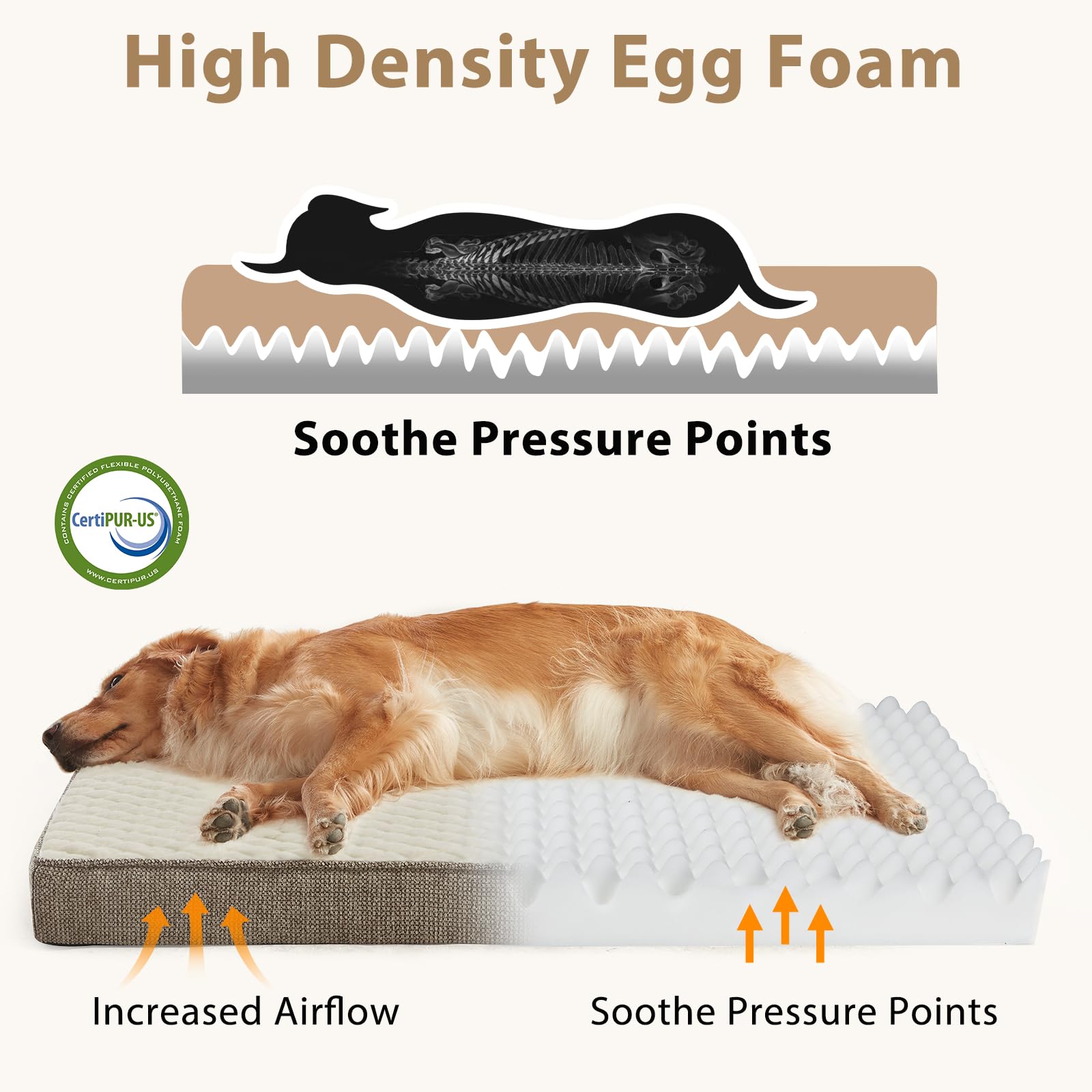 JOEJOY dog bed XL with removable cover and L-shaped zipper for easy cleaning.