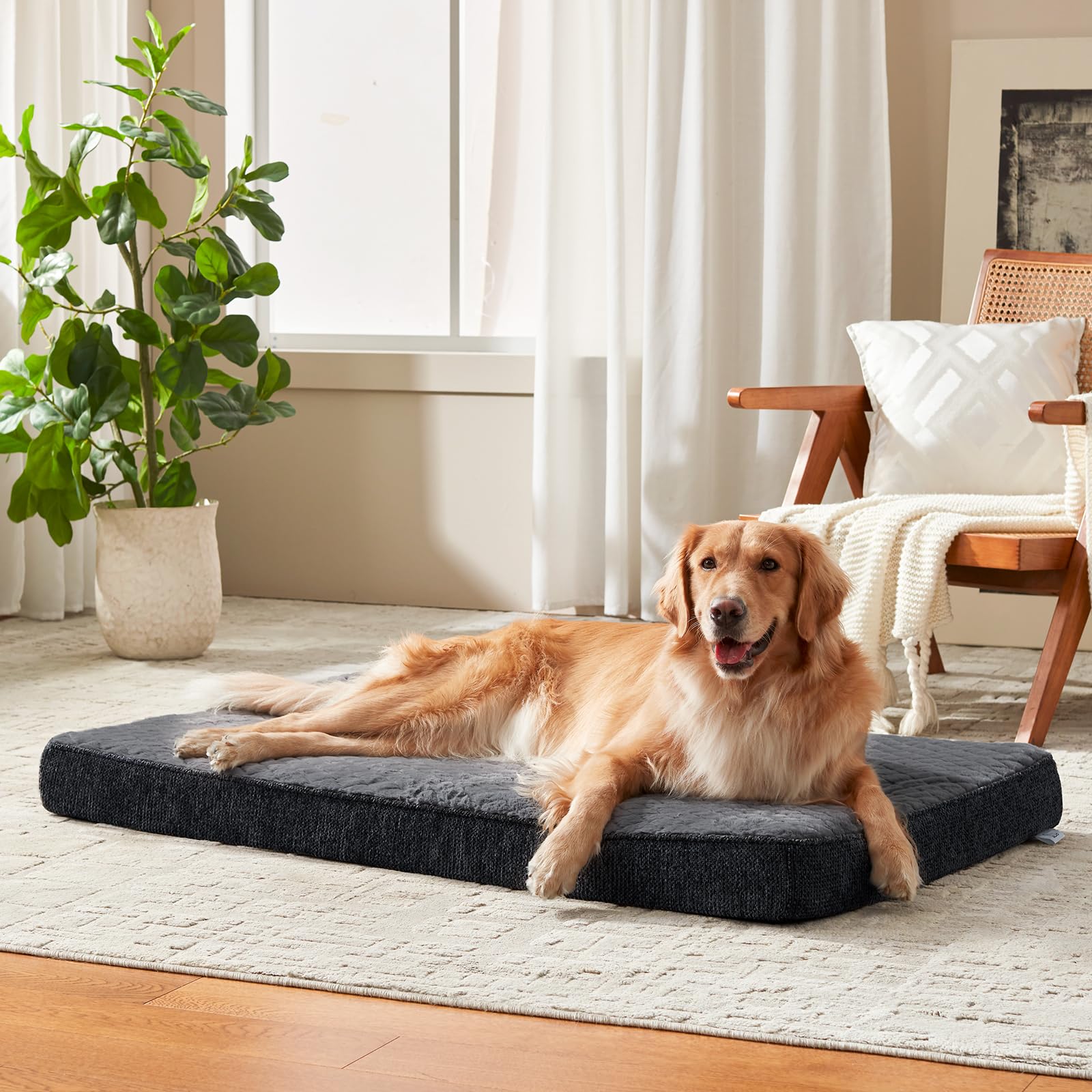 JOEJOY XL dog bed with orthopedic egg-crate memory foam for joint comfort.