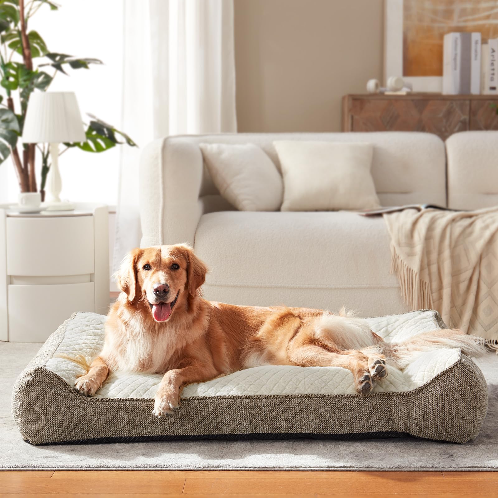 JoeJoy XL Orthopedic Dog Bed 42inch size fits large breeds comfortably