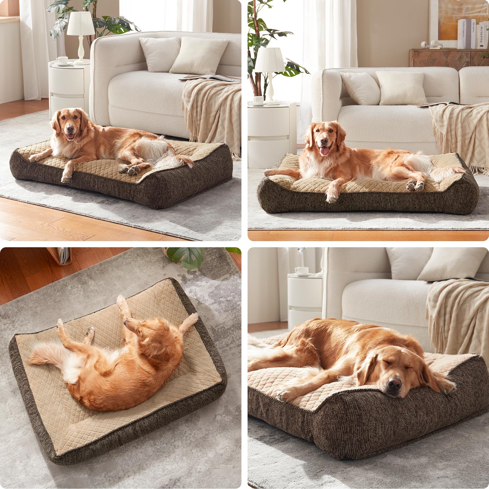 JOEJOY XL removable cover with zipper for easy cleaning